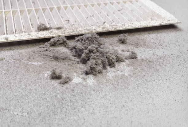 Best Ventilation Cleaning Services  in Pine Island Center, FL