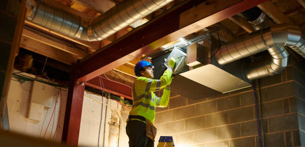 Air Duct Mold Removal in Pine Island Center, FL