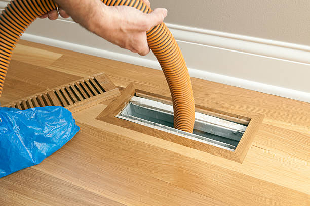 Best Air Quality Test  in Pine Island Center, FL